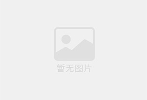 里脊肉饼做法